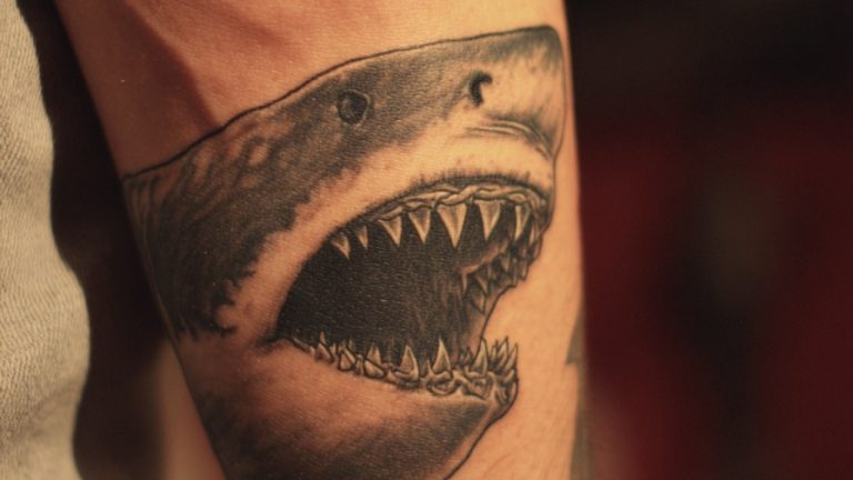 10 Strategic Shark Tattoo Designs to Represent Unwavering Strength